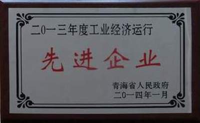 集團榮獲2013年度全省工業(yè)經(jīng)濟運行先進企業(yè)